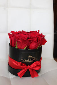 Royal Premium Circular box -  S