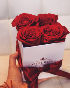 Royal Red Box - tamanho xs white